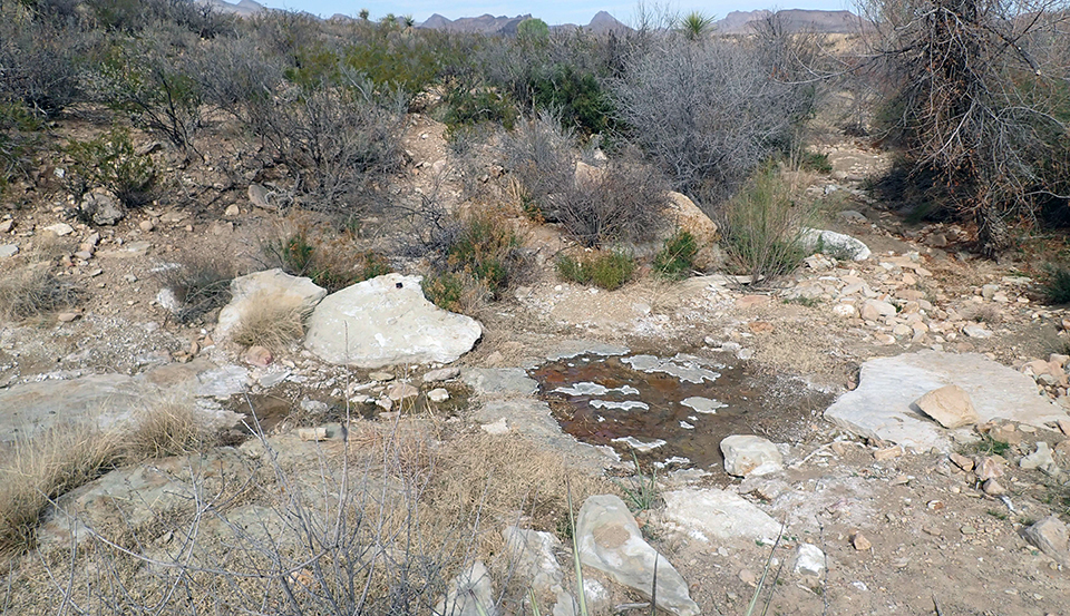 Stagnant, brown-tinged shallow pools inside a cobble and bedrock-lined drainage surrounded by desert shrubland.