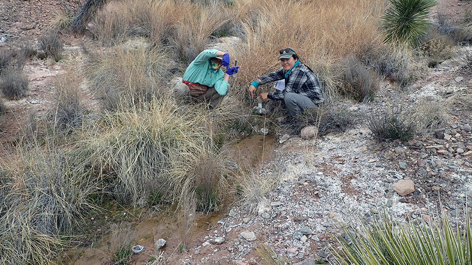 Downstream of a clump of trees, two people point to the upstream edge of a shallow, silty stream lined by mineral deposits and gravel on one side and yellow grasses on the other that continues out of the image on the lower left.