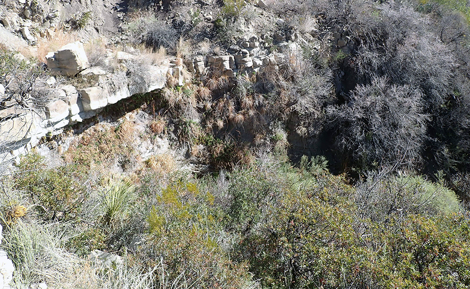 A rock face covered in green plants (a hanging garden) where water trickles out and down towards green shrubs and trees inside a drainage.