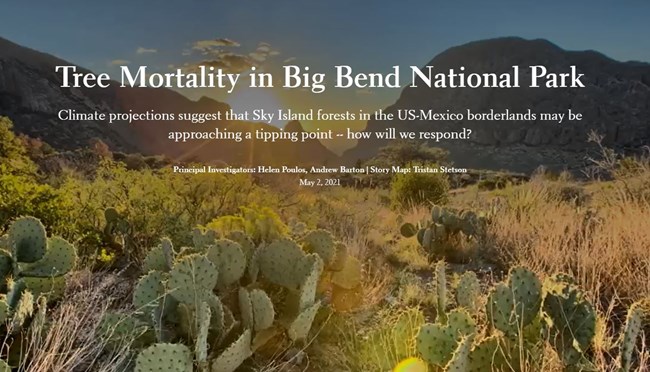 Screeenshot of the Story Map showing sunrise over the desert.