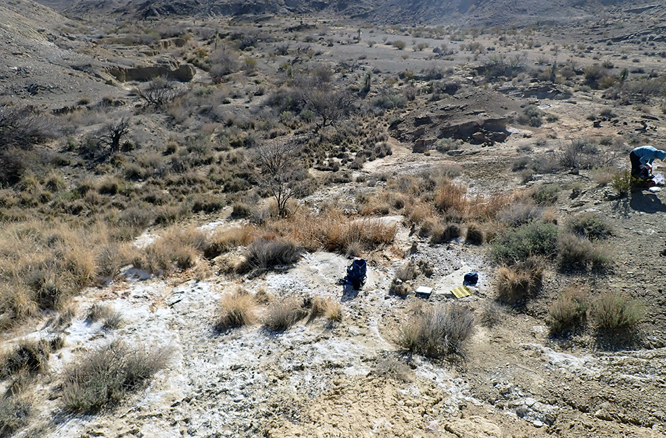 Overview of a meandering desert wash with mineral deposits coating large areas of its bank. Dried grasses and shrubs dot the landscape and a few larger trees grow in the drainage.