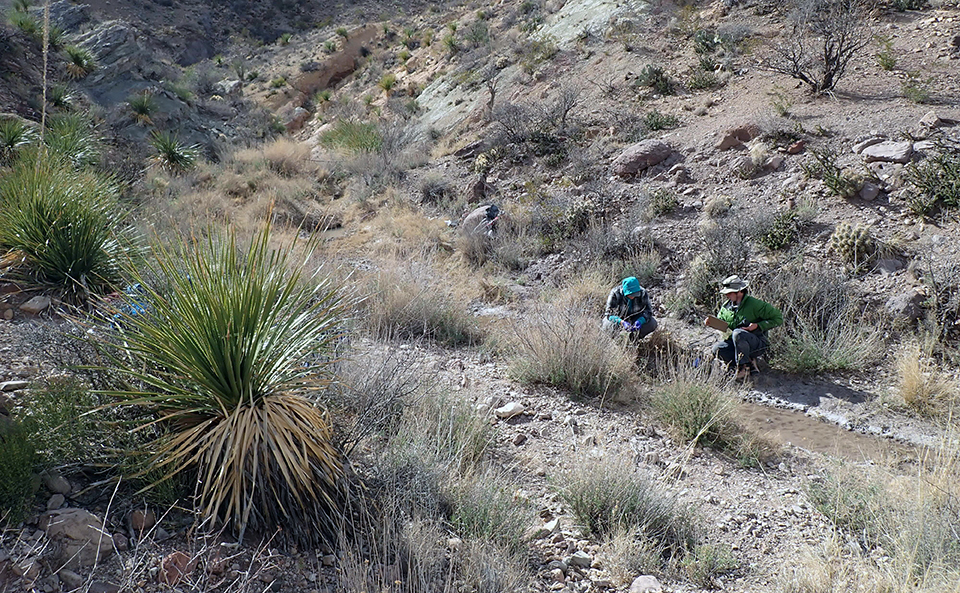 Two people crouch near a shallow, silty pool inside a drainage lined with dried grasses and flanked by steeper slopes. Shrubs dot the surrounding rocky hillsides.
