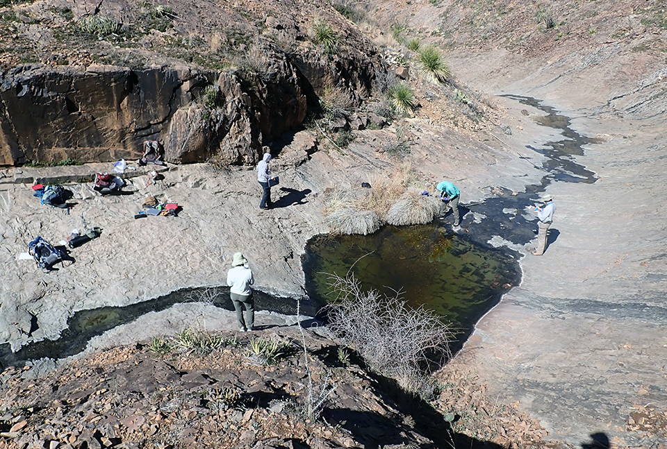 A stream flowing into and out of a pool of water in a bedrock drainage flowing through steep slopes of desert scrub. Four scientists are standing by the pool with monitoring equipment.
