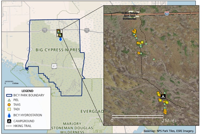 Maps showing the location of the park and the sampling site within it, and the sampling site with the locations of sampled trees. Locations of the trees are shown in different colors and shapes to distinguish among the three species.