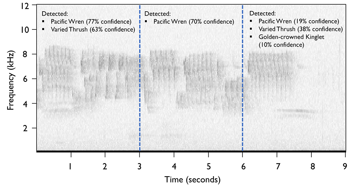 BIRDnet results. A spectrogram showing which birds were detected and with what confidence.