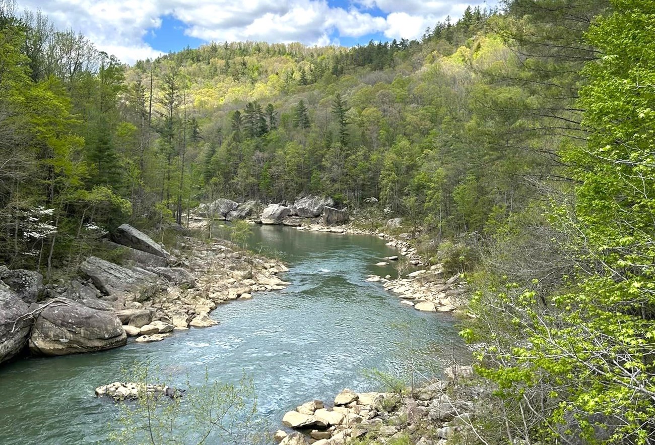 A green river flowing rapidly through a rocky, boulder-filled, tree-lined gorge
