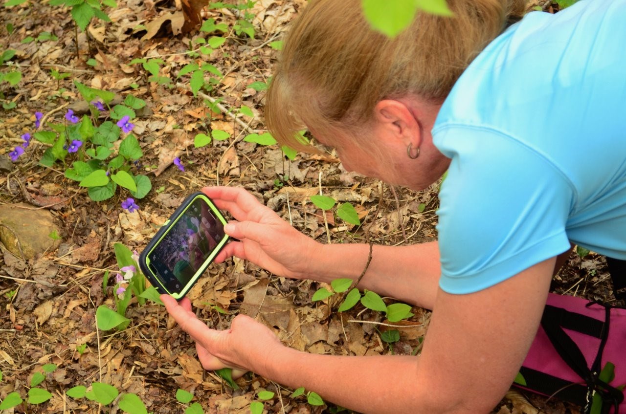 A person crouches to take a close-up photo of a plant with a cell phone.