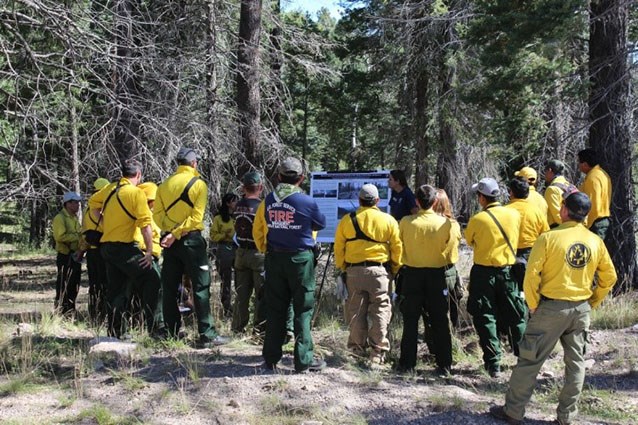 A group of people in yellow shirts gathered around an information board in the forest.