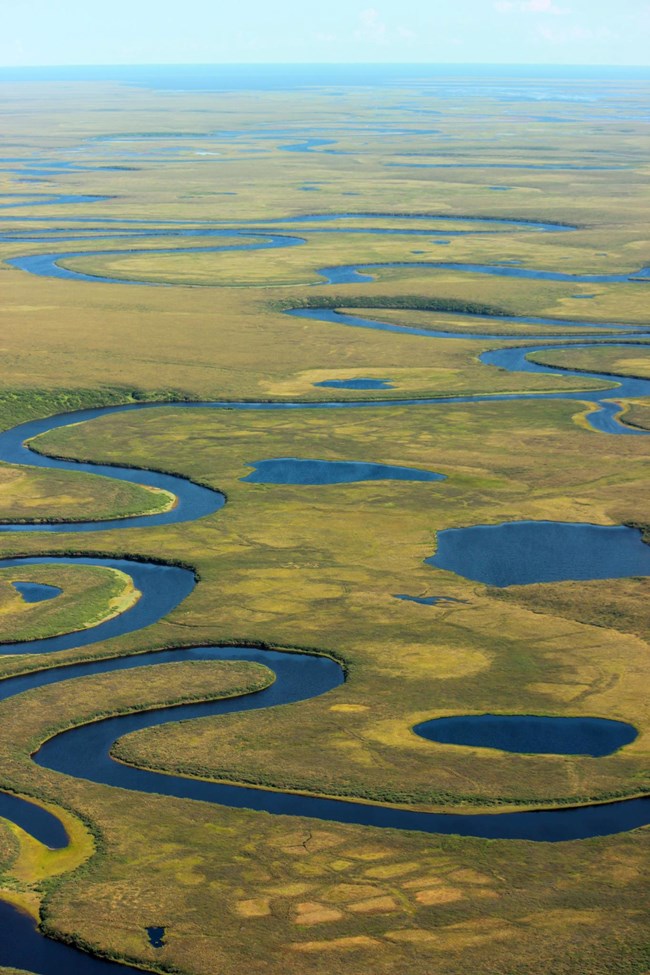 Streams meander on the flat landscape.