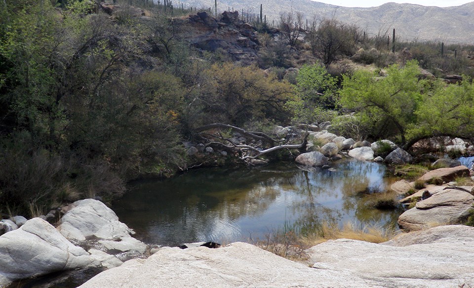 A large pool of clear water in a desert drainage of bedrock and boulders.