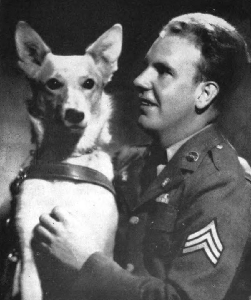 A soldier looks at a German Shepard dog sitting in his lap
