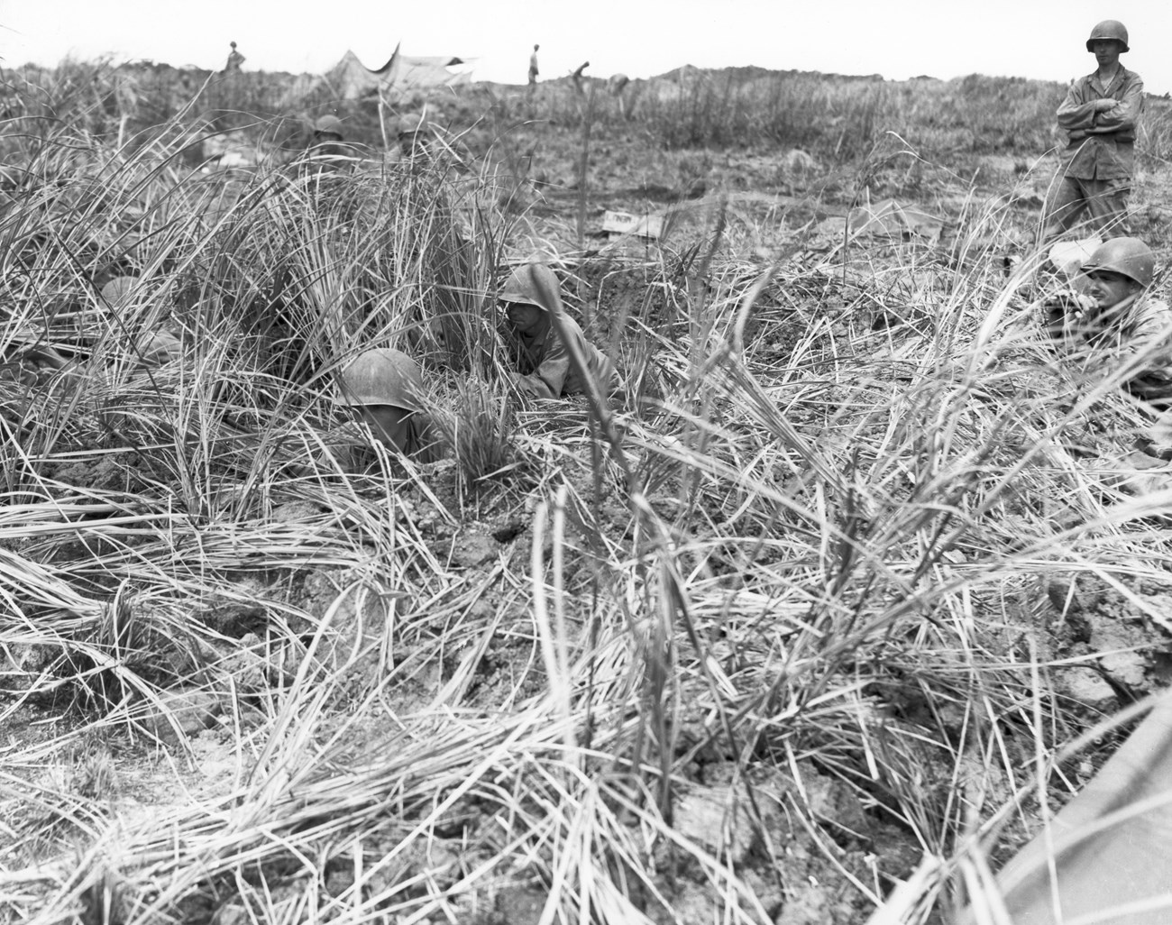 Soldiers in helmets partially hidden by tall grass in a field engaged in a military operation. One stands with arms crossed.