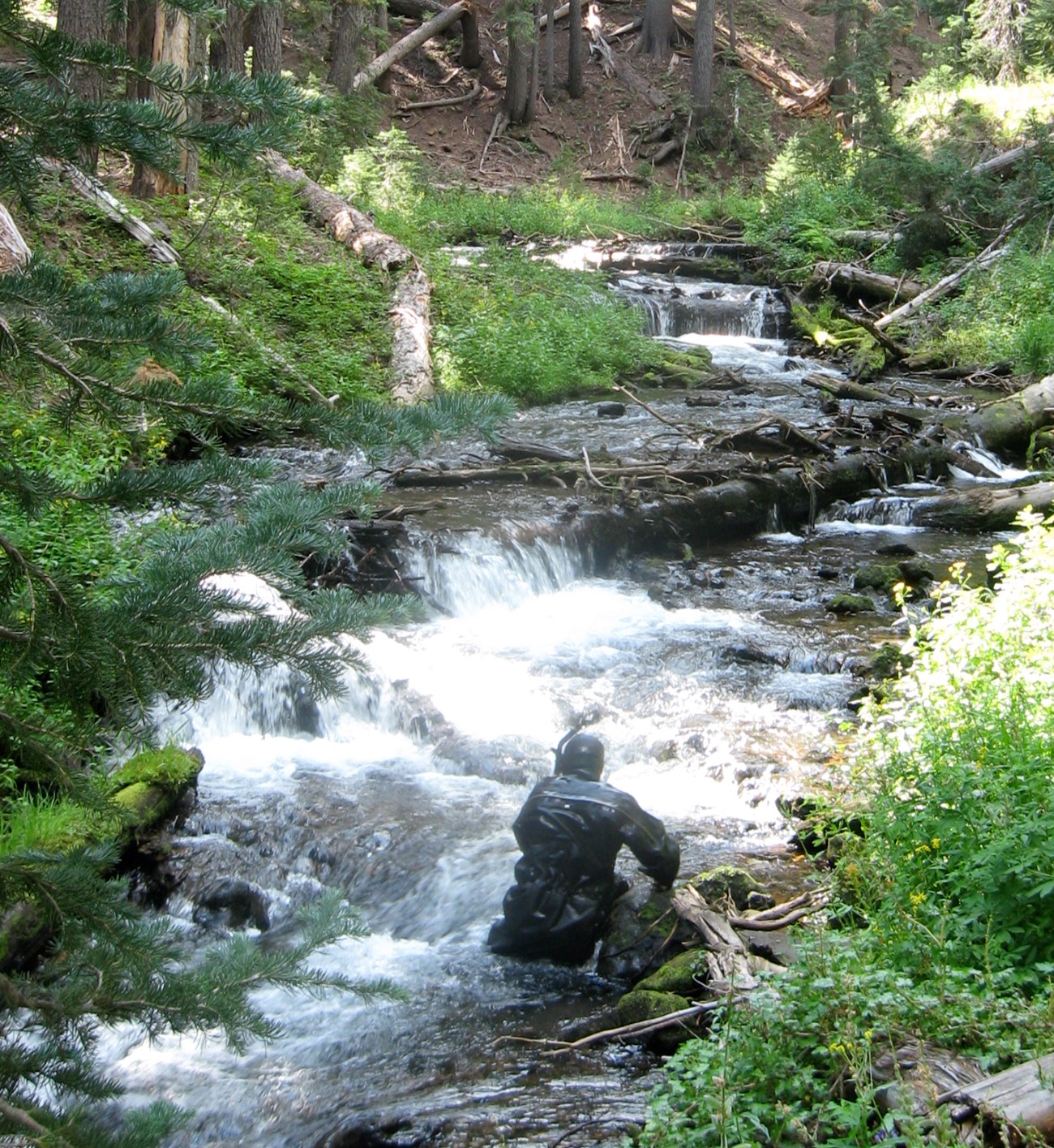 Person wearing a wetsuit and snorkle crouches in a mountain stream.