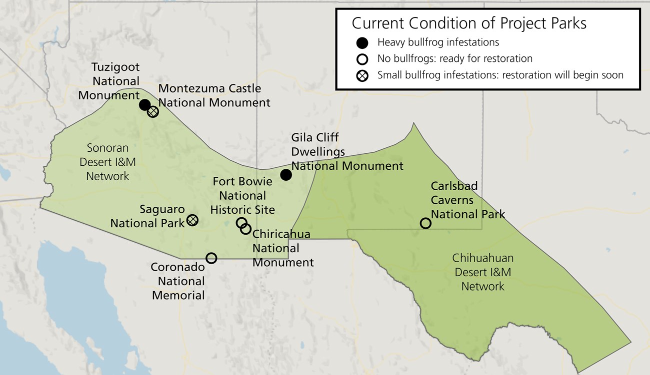 Map of Tuzigoot NM, Montezume Castle NM, Saguaro NP, Fort Bowie NHS, Chiricahua NM, and Coronado NMem in Arizona and Gila Cliff Dwellings NM and Carlsbad Caverns NP in New Mexico.