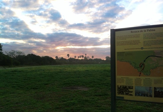 Clouds light up in the sunrise sky, over a large grassy field.