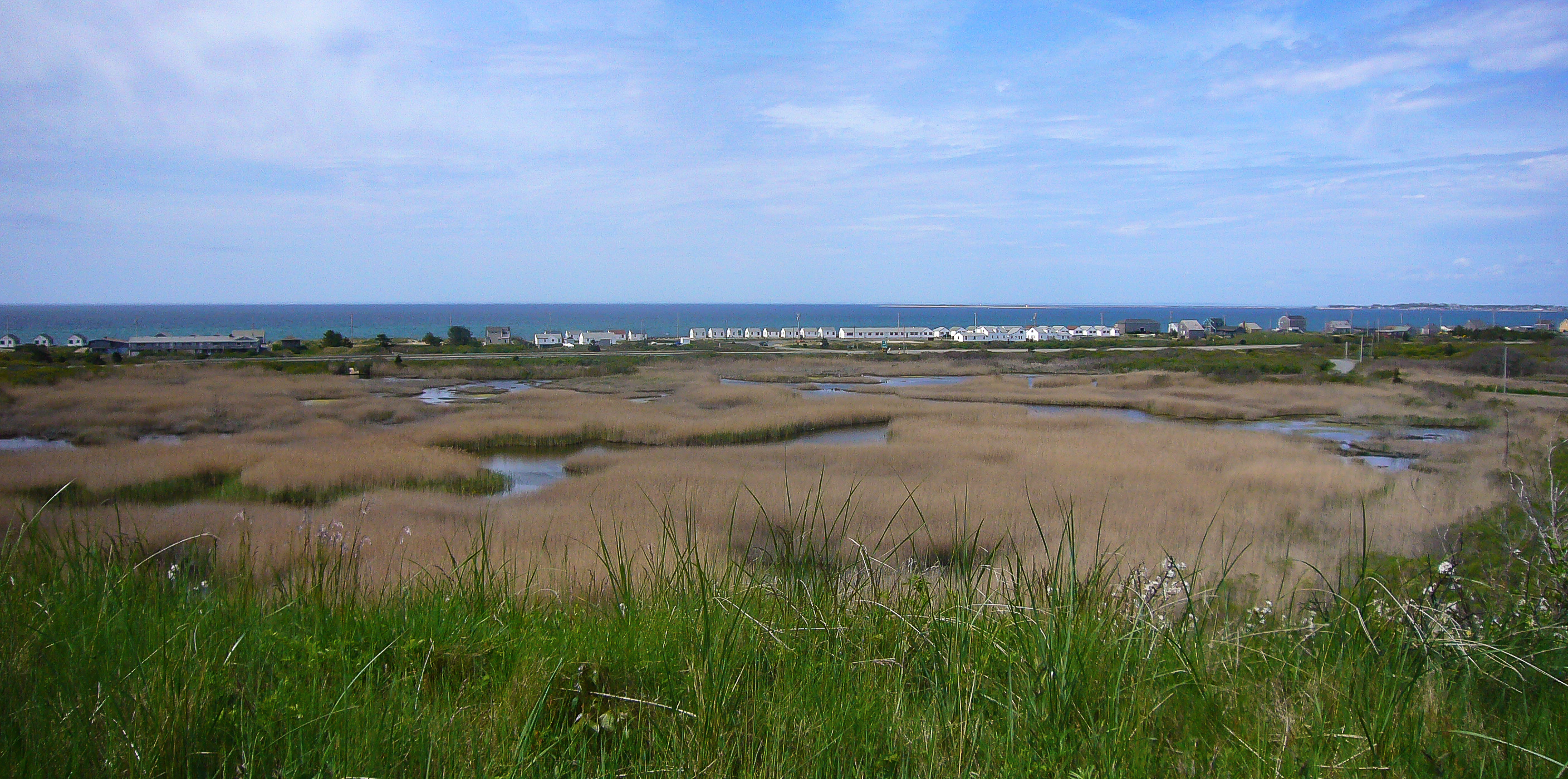 Blue skies above a saltmarsh and vacation houses in the background on the Cape Cod Bay in Truro, MA.