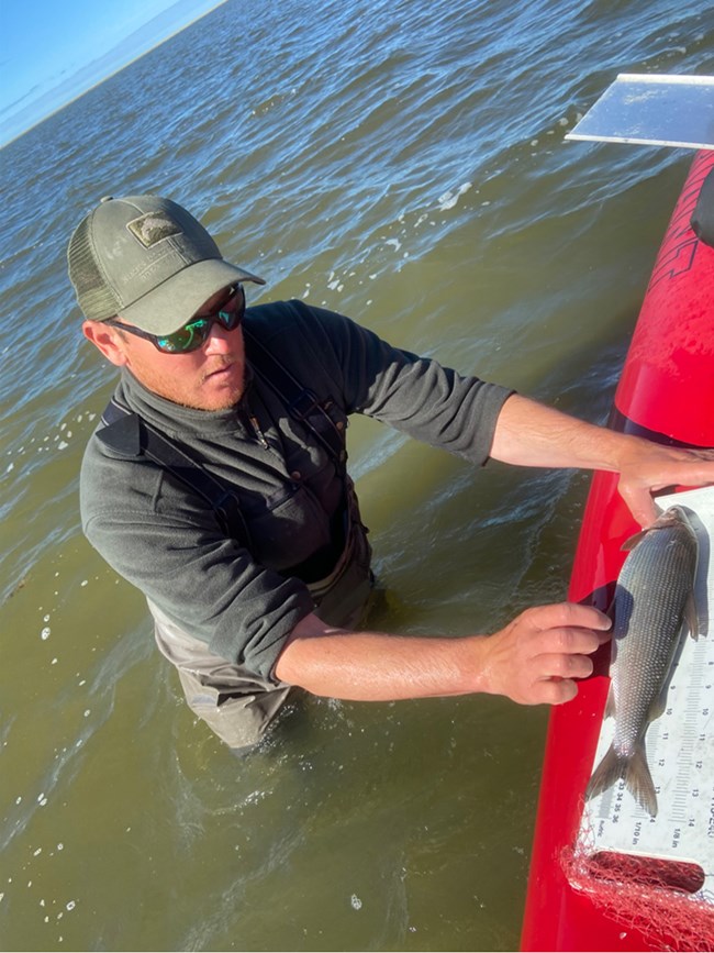 a man stands in the water and measures a fish on the side of an inflatable boat