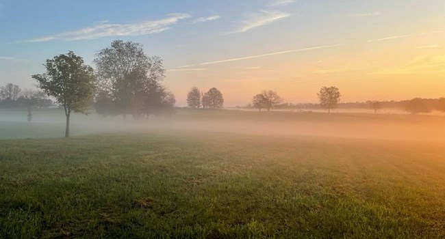 A foggy field at sunrise