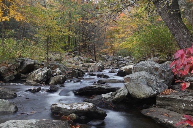 Rushing water gradually cascades through a rocky creek in Catoctin Mountain Park.