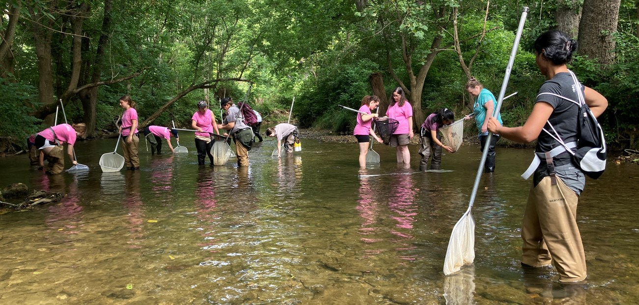 a group of people stand in a shallow creek wearing rubber boots and dipping nets into the water