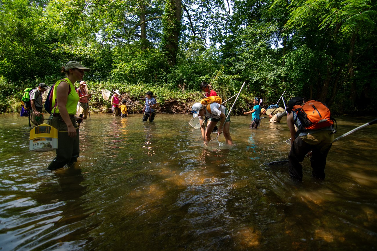 Ten people wearing rubber boots and carrying nets stand to their thighs in a creek