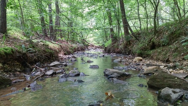 Looking downstream on a river