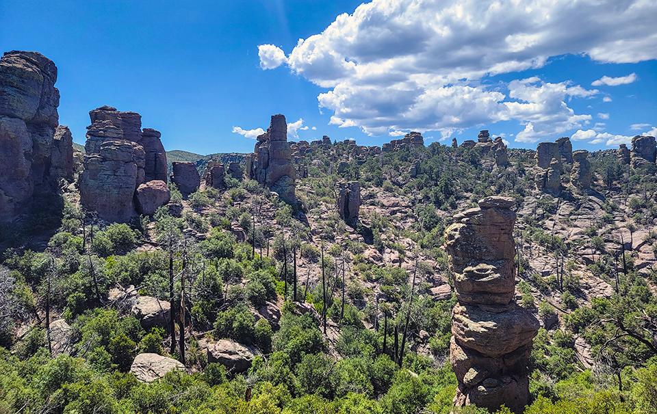 Tall stacked rock formations called hoodoos sprinkled across hillsides of shrubs and trees under a partly cloudy sky.