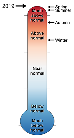thermometer for COLO 2019