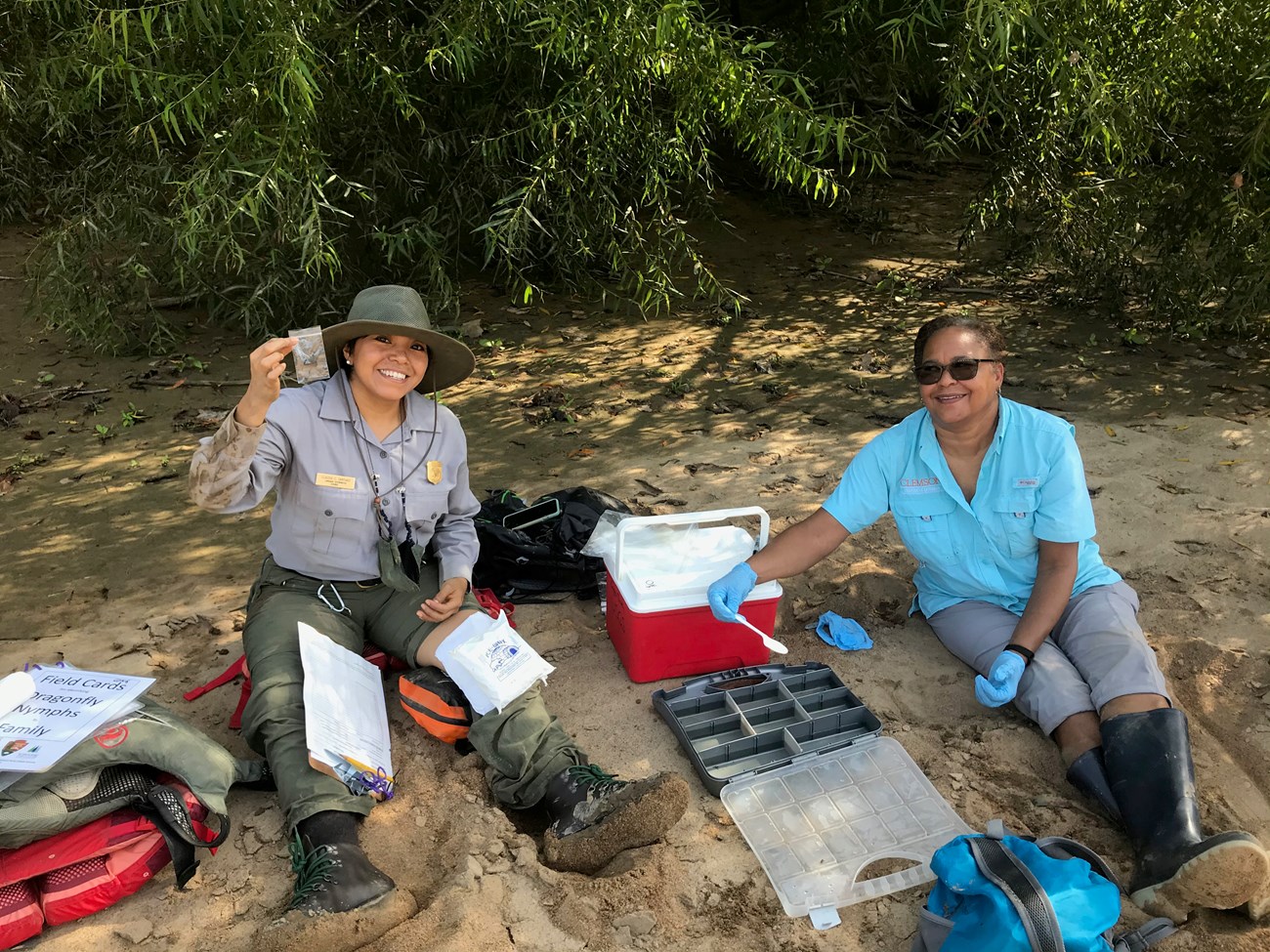 two women sit on sandy area organizing dragonfly larvae into bags and cases.