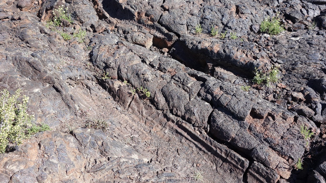 Photo of lava rock with impression of a tree trunk.