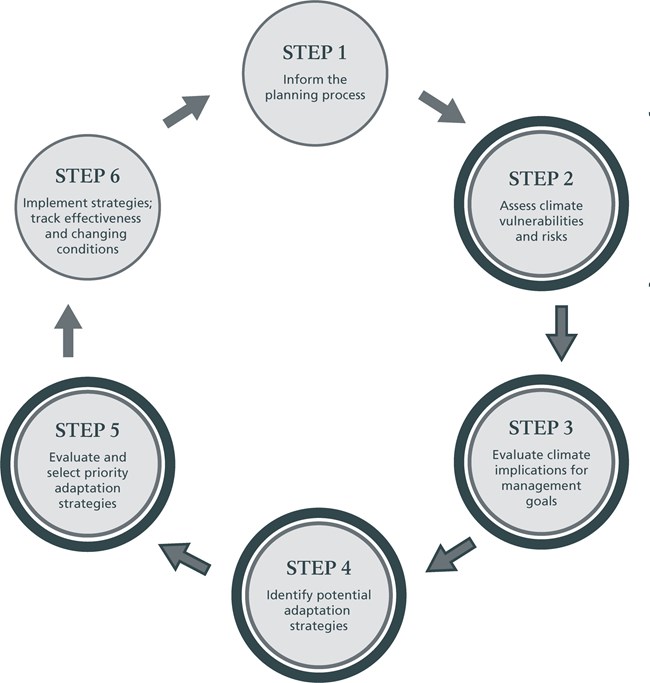 A program flow chart with circles that describe steps in a process.