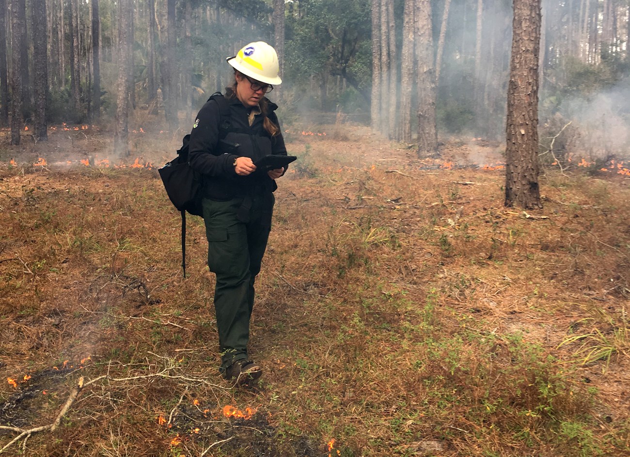 A person wearing personal protective equipment stands in a forest with small flames at her feet looking at a tablet.