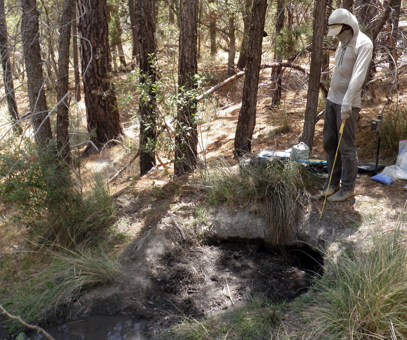 A person standing next to a narrow crevice in a hillside with water pooling adjacent to the crevice.