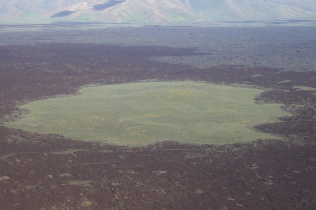an area of green vegetation surrounded by dark brown lava flows