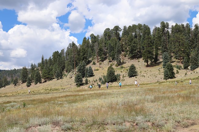 A round, forested lava dome in a montane grassland. Distant hikers walk along the base of the dome.