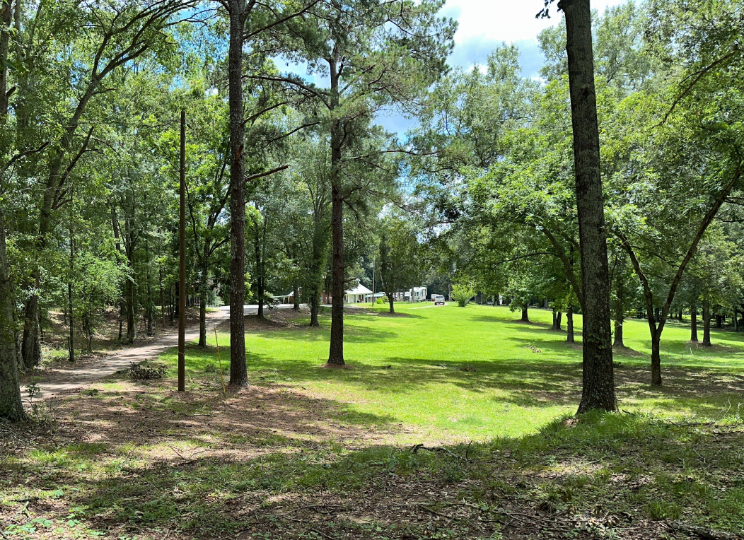 A lawn with trees scattered across it takes up the center frame of the photo.