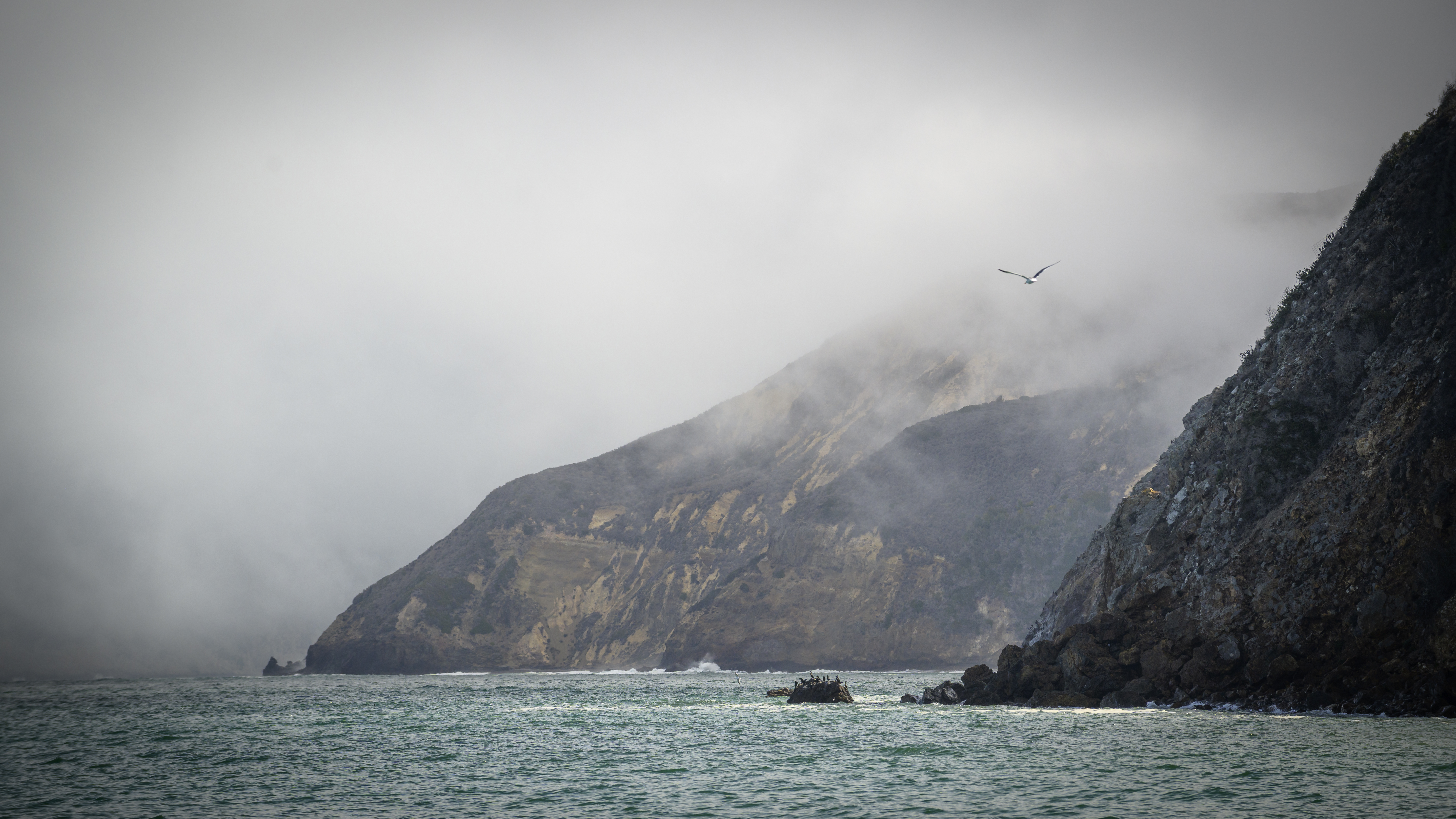 Channel Islands National Park shown from the sea. The coastline is shown on a cloudy/foggy day with a seabird flying over the shores.