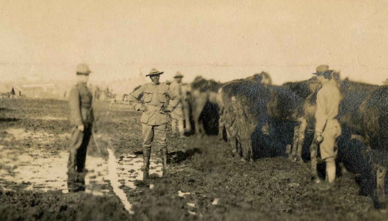 Black and white photo of African American man standing in a muddy pasture with his hands on his hips. He is wearing a military uniform from the 1910s. Horse are a in group to the right of the photo.