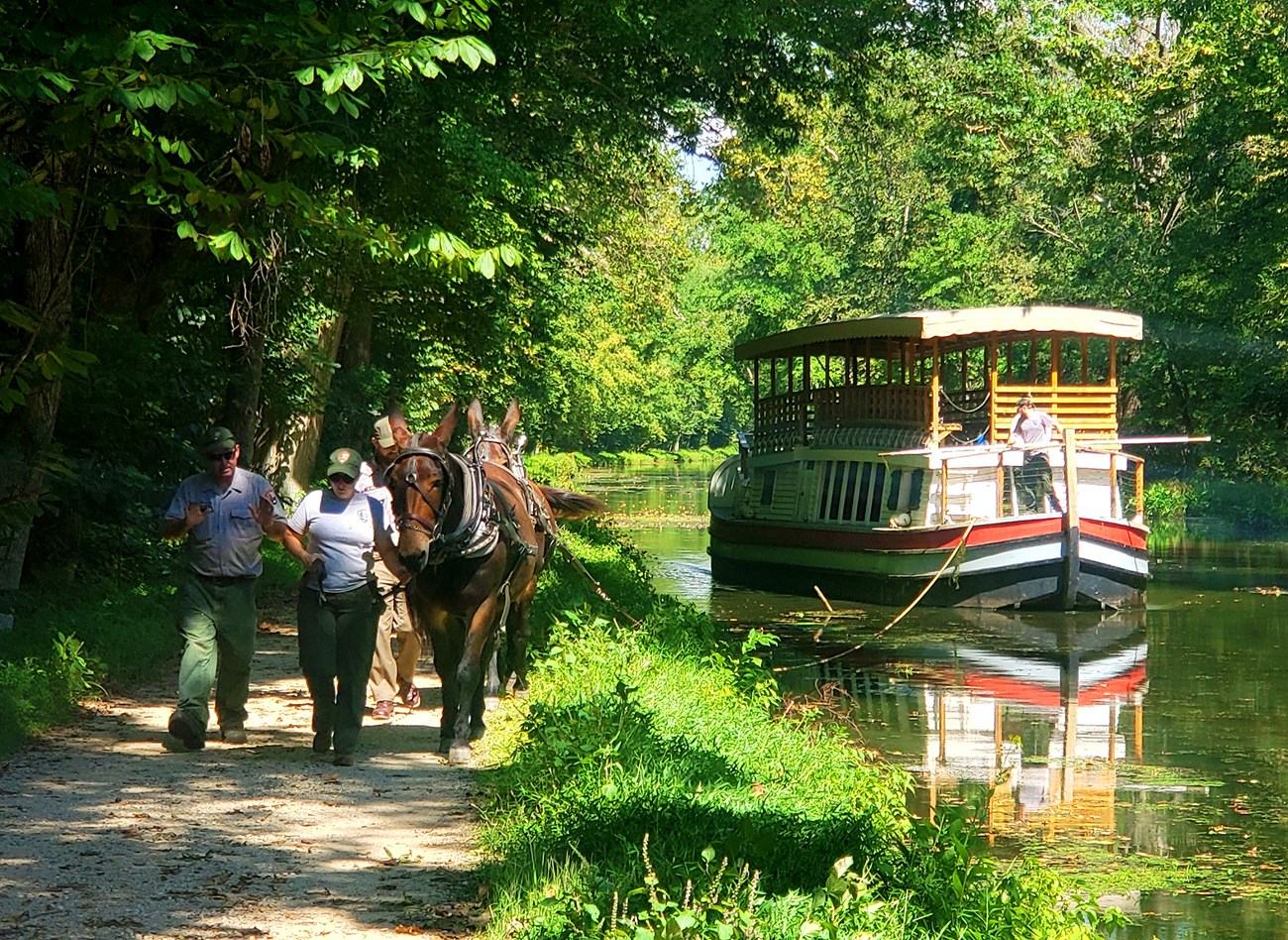 Two men and a woman holding horses walk next to a canal surrounded by lush green plants. There is a ferry with an operator, moored on the canal. The operator and the man and woman in front are wearing NPS uniforms.