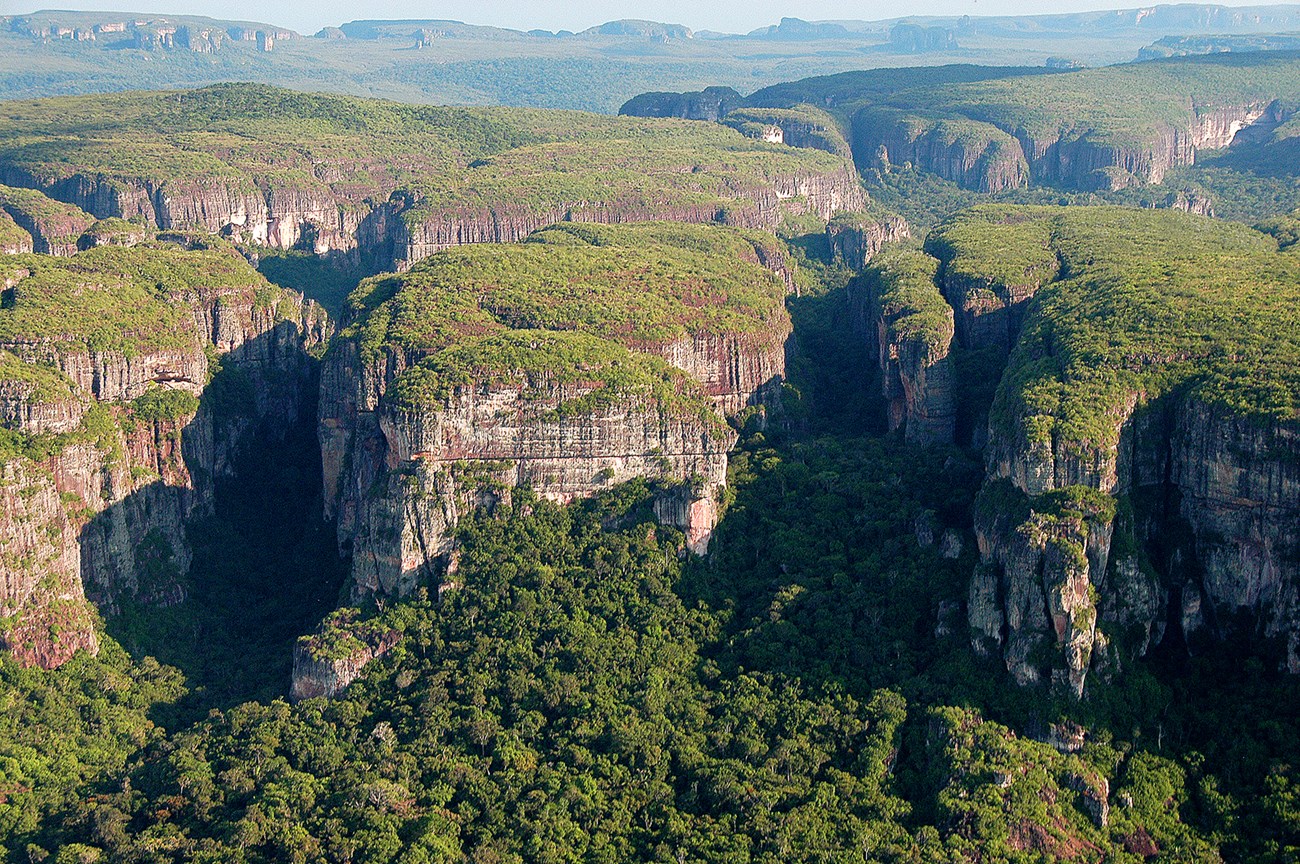 High cliffs covered with green vegetation in Chiribiquete National Park, Colombia