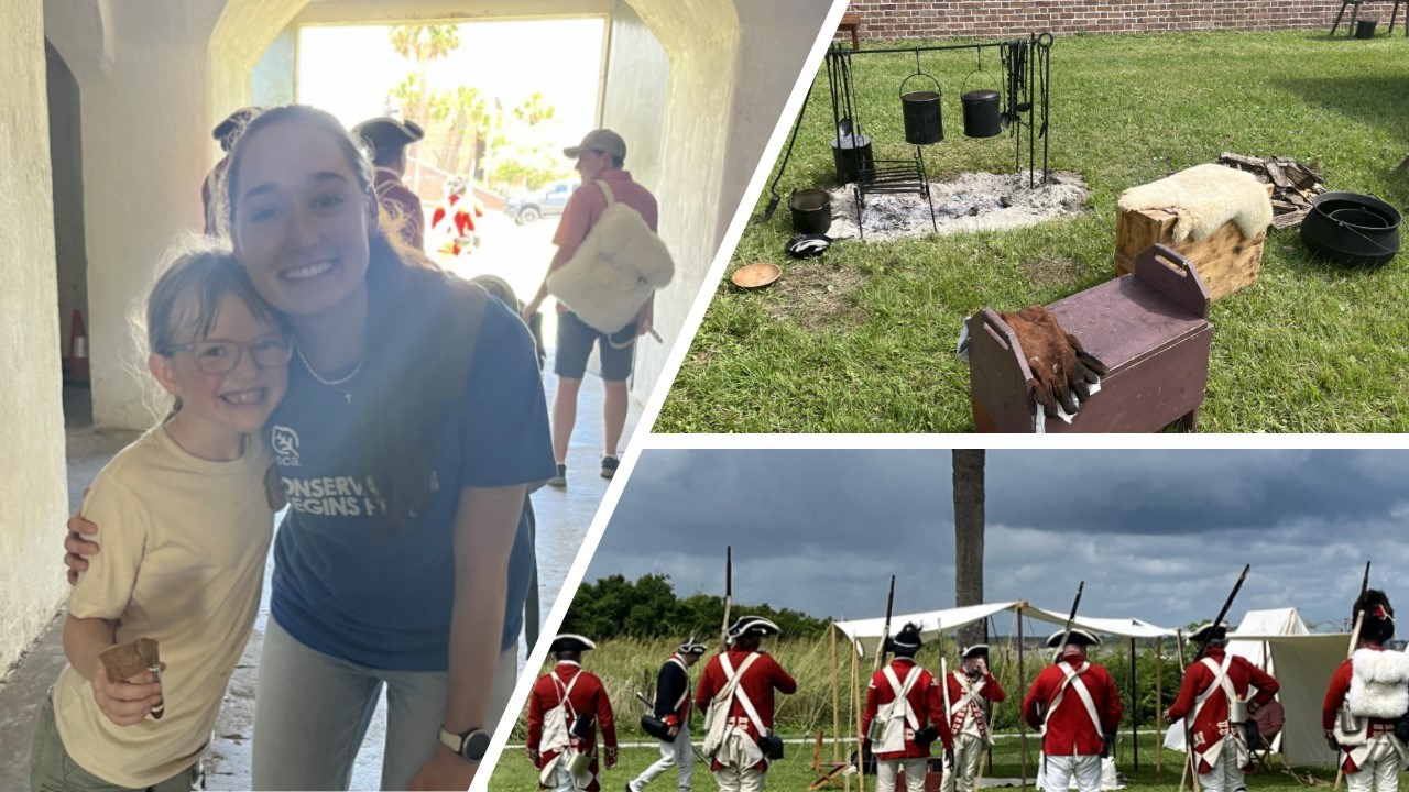 Collage with various activities