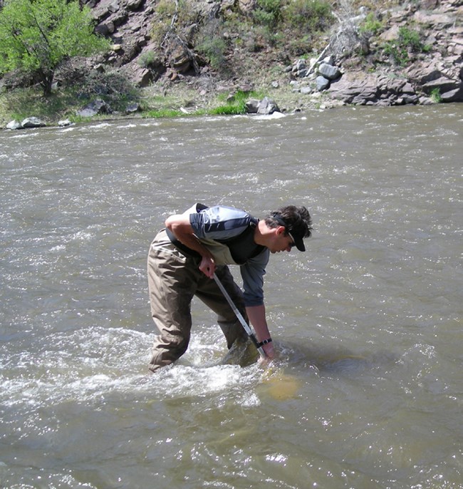 Man in waders stands in knee deep river holding a net underwater.