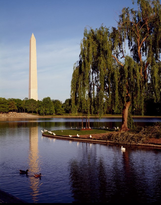 Washington Monument seen from Constitution Gardens