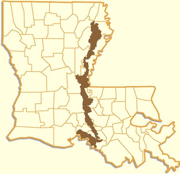 Fall 2011 coursework from Sharky’s undergraduate class.