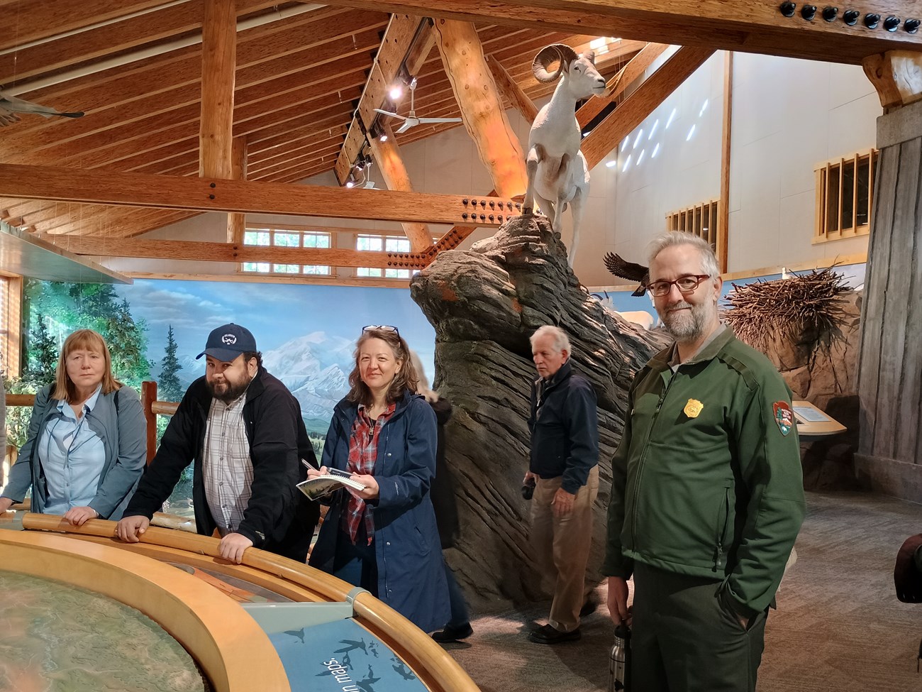 Group of people in a visitor center beneath a replica of a dall sheep, looking at an exhibit featuring a 3D map of Denali.