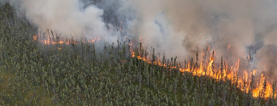 Aerial view of trees burning, visible flames, and a large amount of smoke.