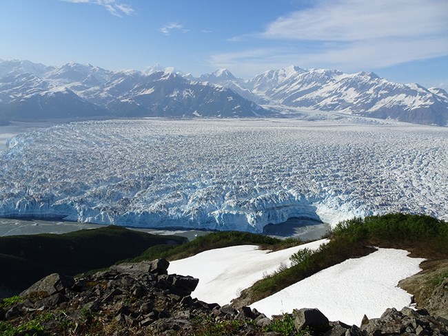 A large tidewater glacier.