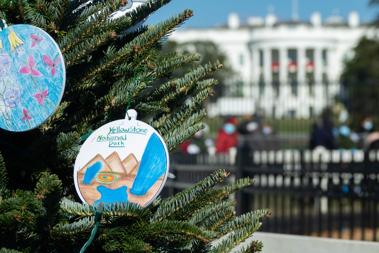 close up image of part of christmas tree with ornament that is a drawing of yosemite, and in the background you can see the white house