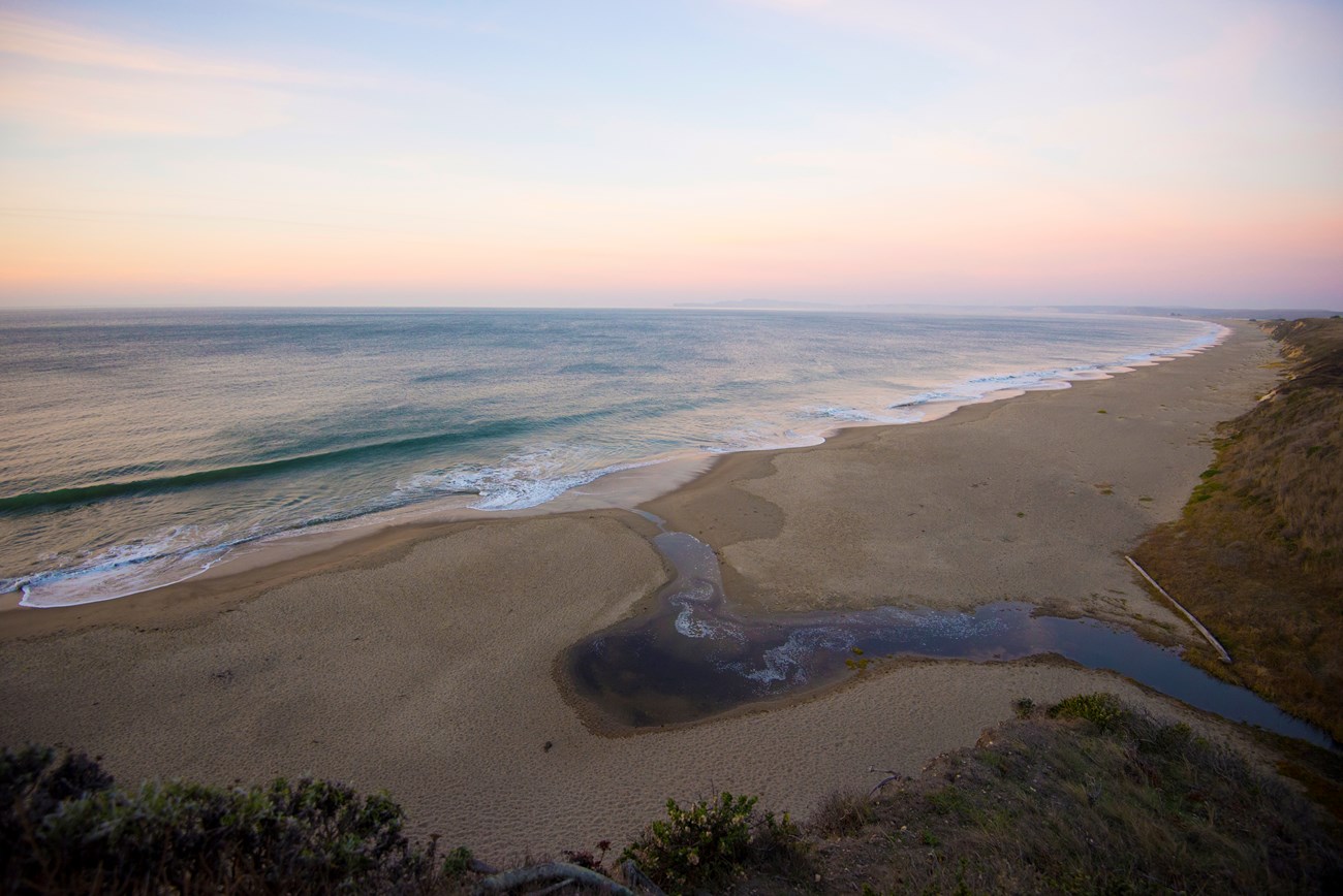 Softly illuminated by early morning light, a beach stretches out in a perfect arc, into the distance. A stream crosses the beach, flowing into the turquoise ocean.