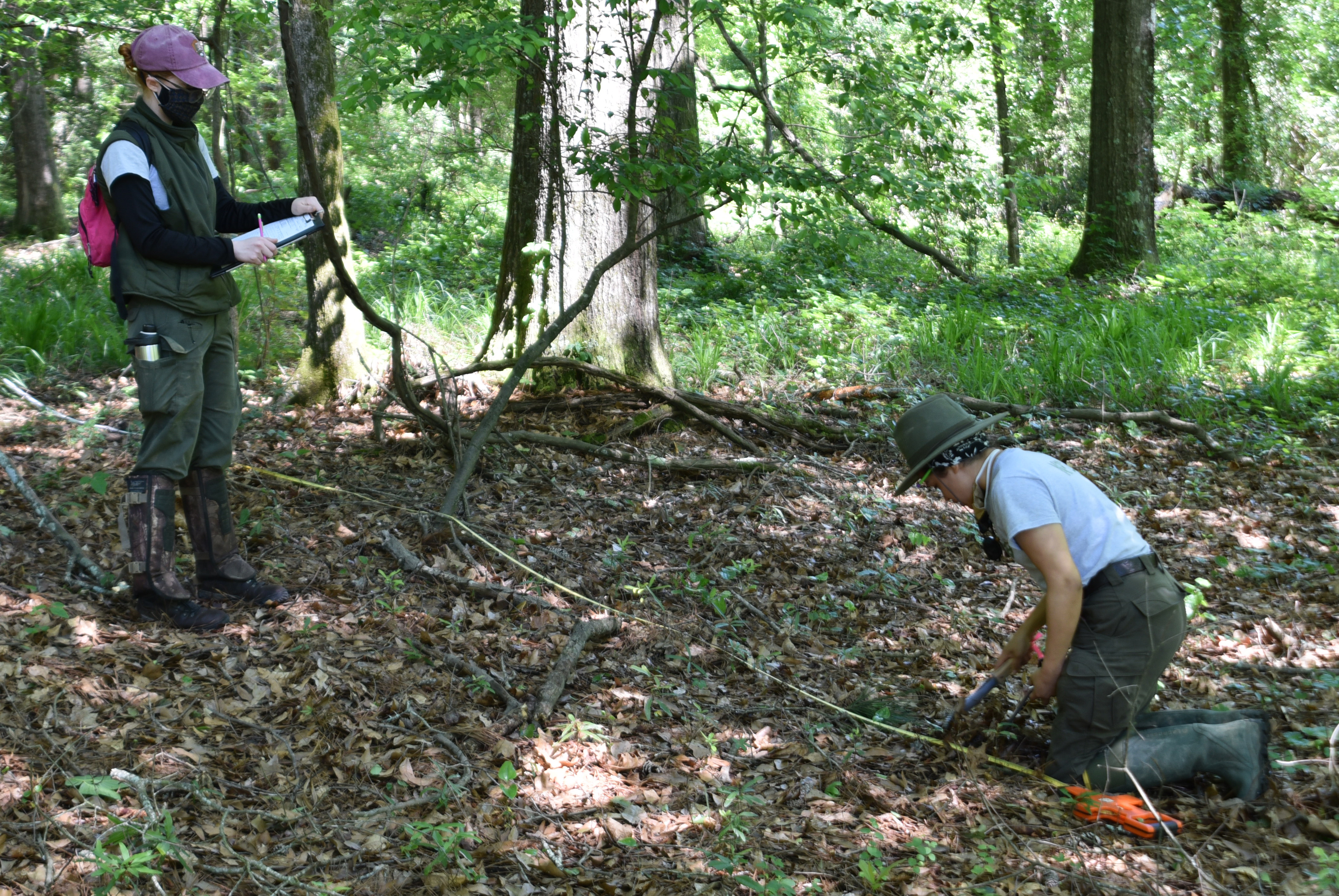 woman with a clipboard and woman with a measuring tape in the woods